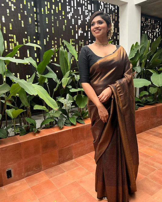 Brown Silk Saree