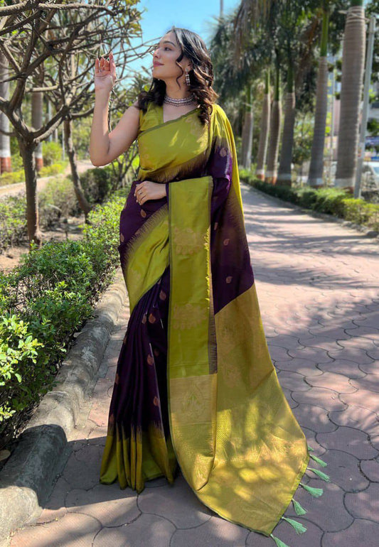 Olive Green & Purple Zari Work Saree