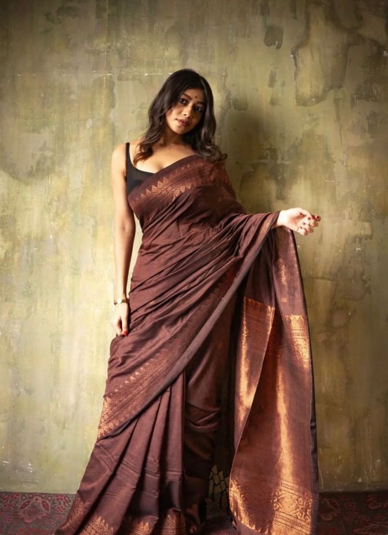 Brown Zari Saree