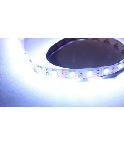 Charkee White Steady Strip Rice Lights (Pack of 1)