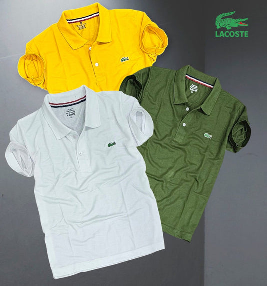 Matty Polo Tshirts in Pack of 3