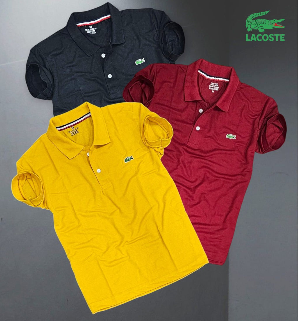 Matty Polo Tshirts in Pack of 3