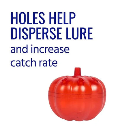 Gnat Trap Catcher – Fruit Fly & Insect Trap for Home & Kitchen