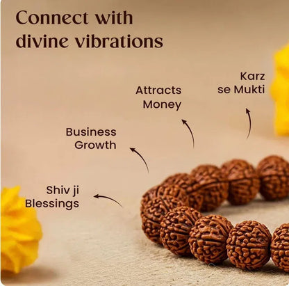 7 Mukhi Rudraksha Bracelet