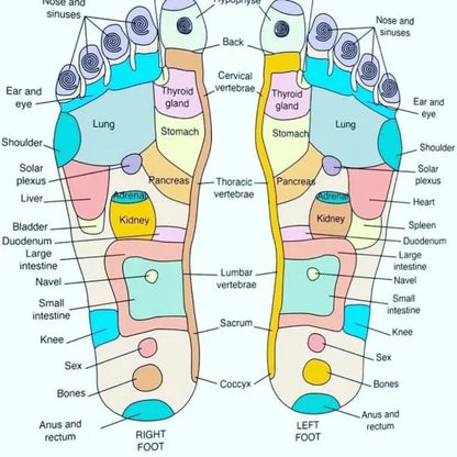 🧦 Acupressure Reflexology Socks – Personal Care (1Paire)