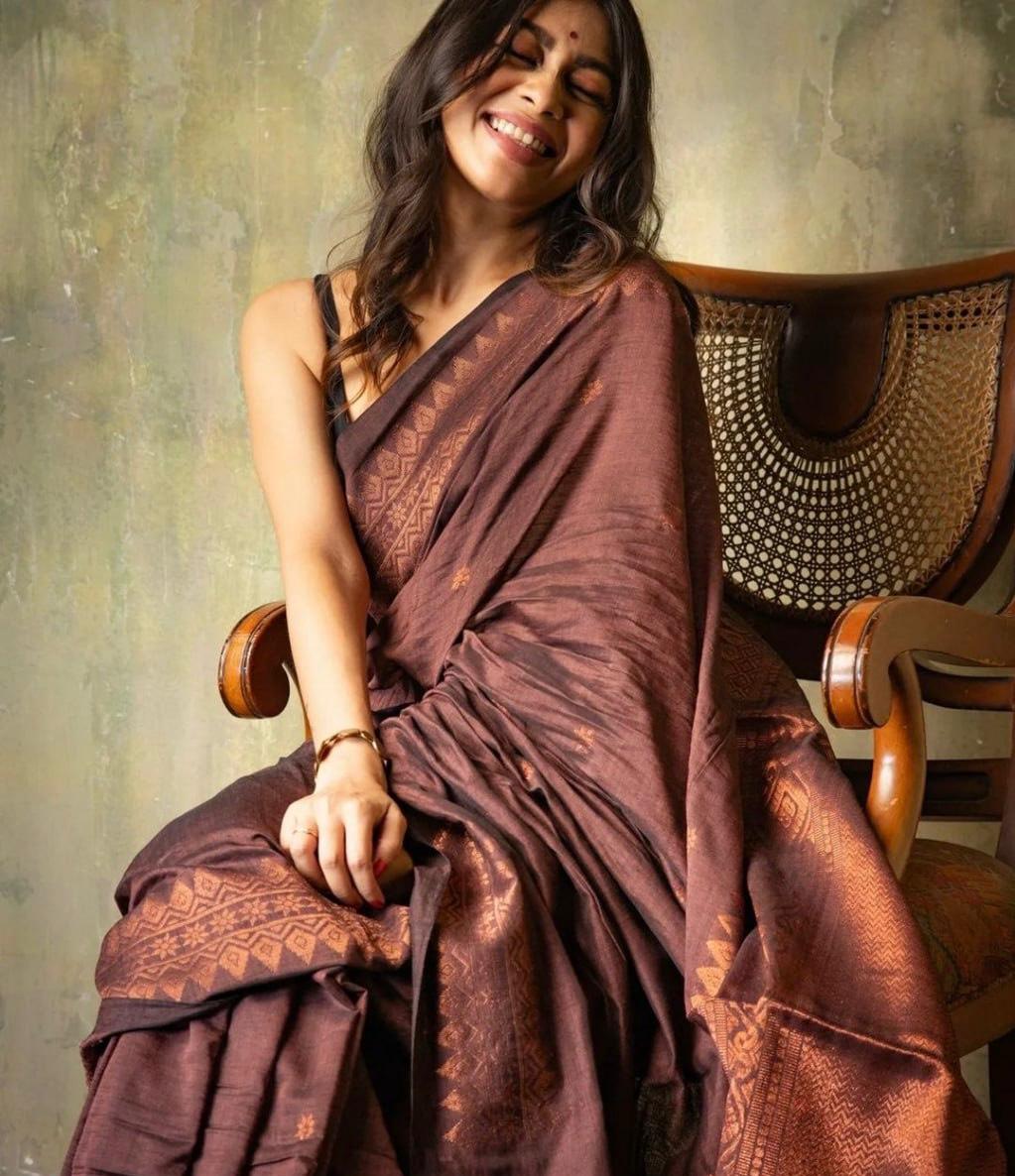 Brown Zari Saree