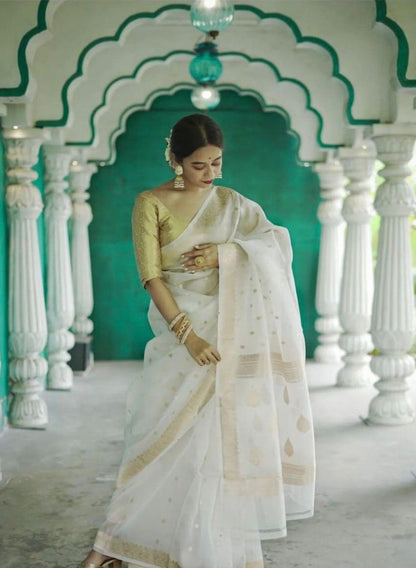 Off White Zari Work Saree