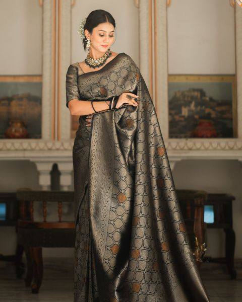 Black Bronze Zari Work Saree
