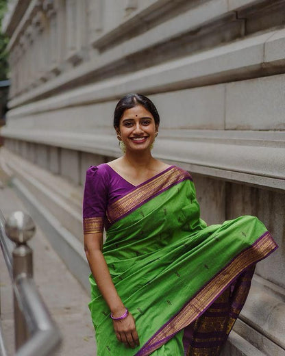 Purple Green Saree