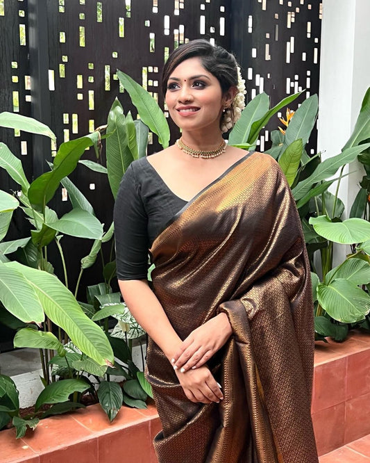 Brown Silk Saree