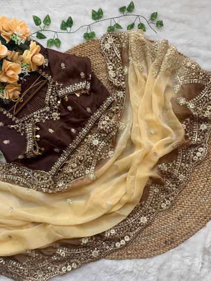 Shipra Embroidered Moss Saree with Sequins Border & Designer Stitched Blouse