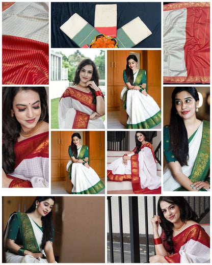 Off White Saree with Black & Gold Classic Border