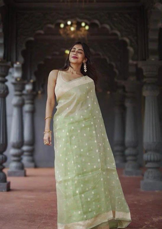 Pista Green Zari Work Saree