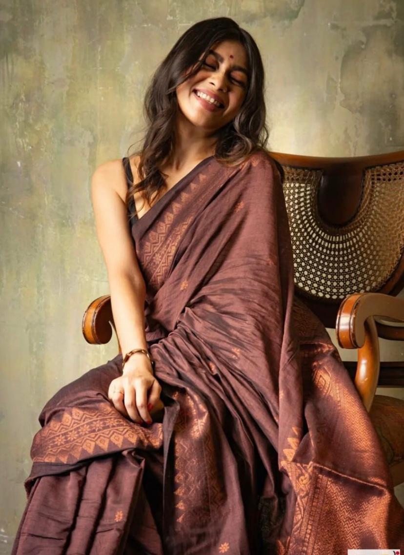 Brown Zari Saree