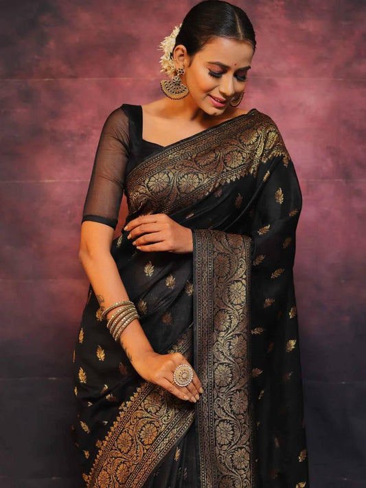 Black Zari Work Saree