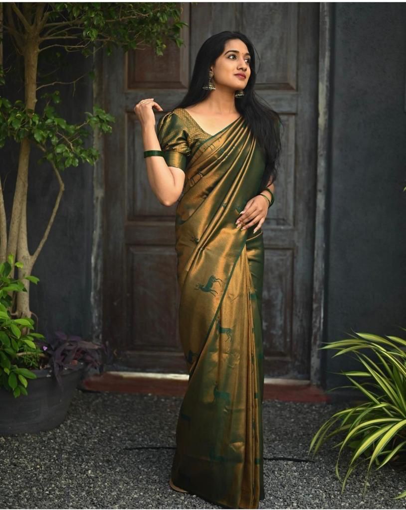 Olive Zari Silk Saree