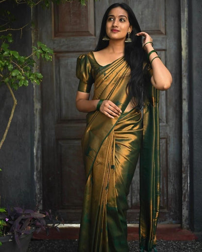 Olive Zari Silk Saree