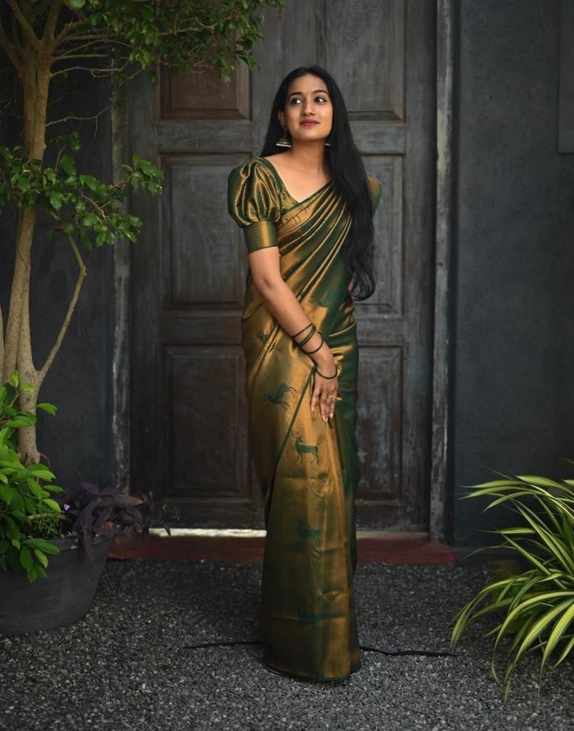 Olive Zari Silk Saree