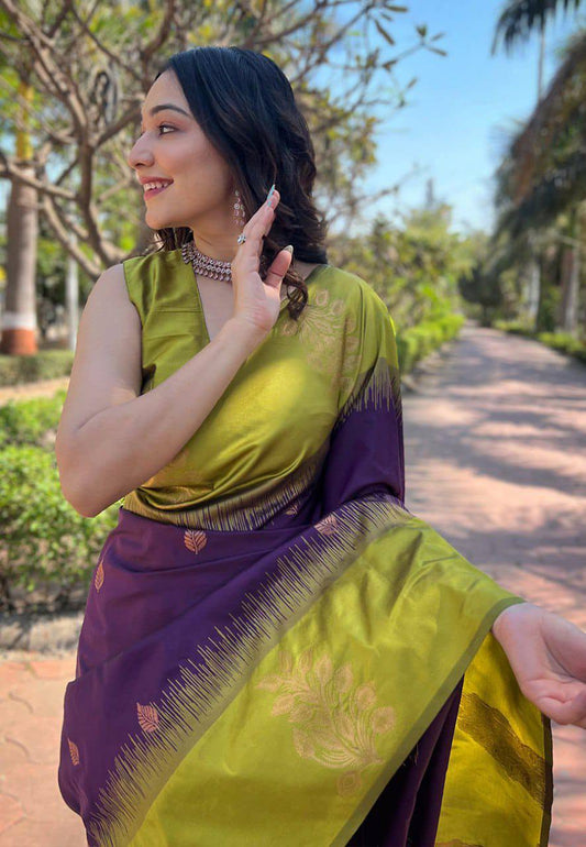Olive Green & Purple Zari Work Saree