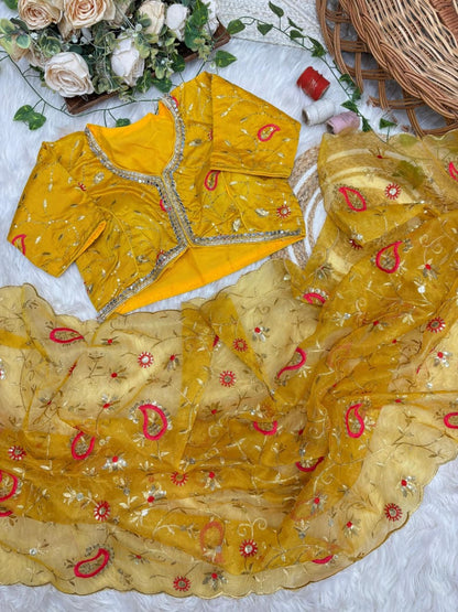 Tissue Silk Mirror Work Saree