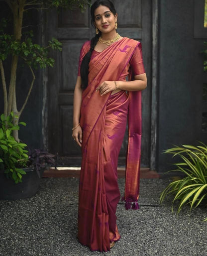 Wine Zari Silk Saree