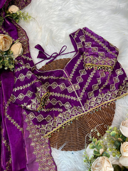 Shanaya Zimmy Choo Silk Saree With Heavy Embroidery Sequence Work & Blouse (Up to 42”)