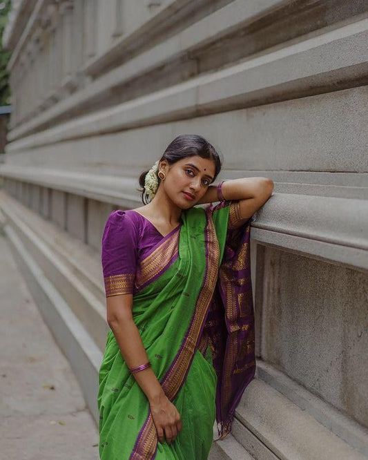 Purple Green Saree