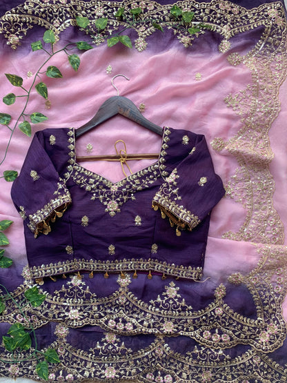Shipra Embroidered Moss Saree with Sequins Border & Designer Stitched Blouse