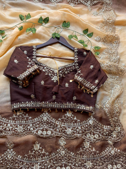 Shipra Embroidered Moss Saree with Sequins Border & Designer Stitched Blouse