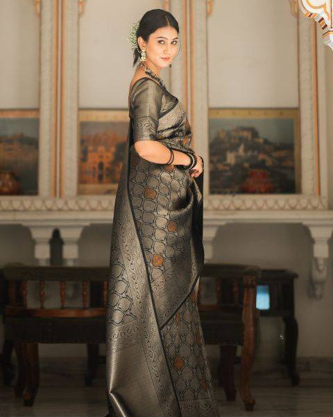 Black Bronze Zari Work Saree